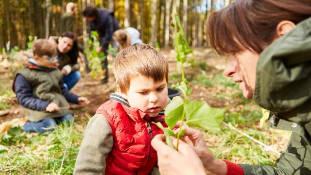 PISA 2025 ile Eğitimin yeni rotası: İklim okuryazarlığı ve geleceğin sorumlu vatandaşları